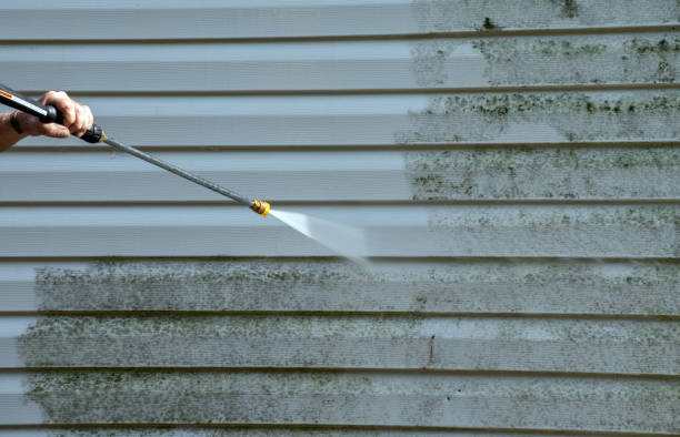 Roof Power Washing Services in Chesterfield, SC
